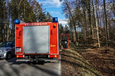 Winterbach: Baeume stuerzten auf das Kaiserstraessle