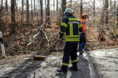 Winterbach: Baeume stuerzten auf das Kaiserstraessle