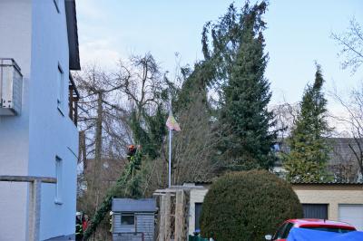 Neckartailfingen: Baum droht auf Garage zu stuerzen