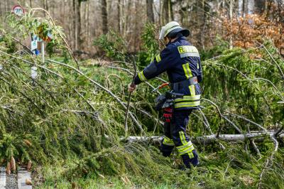 Plochingen: Mehrere Baeume blockieren Landstrasse 
