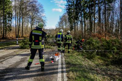 Plochingen: Mehrere Baeume blockieren Landstrasse 