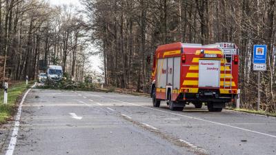 Leonberg: Baum faellt nach Sturm auf die Strasse