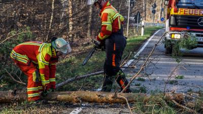 Leonberg: Baum faellt nach Sturm auf die Strasse