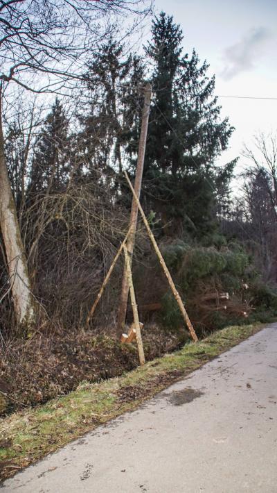 Leonberg: Sturm drueckt drei Tann auf eine Telefonleitung