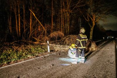 Baltmannsweiler: Baeume versperren Kreisstrasse - Feuerwehr im Einsatz