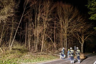 Baltmannsweiler: Baeume versperren Kreisstrasse - Feuerwehr im Einsatz