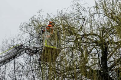 Kirchheim: Sturm sorgt fuer Feuerwehreinsatz - Aeste drohten auf Bushaltestelle und Gehweg zu fallen
