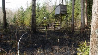 Gauefelden-Oeschelbronn: Flaechenbrand hinter dem Radstadion 