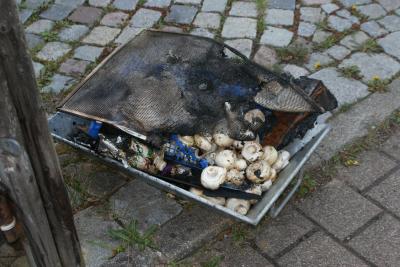 Steinenbronn :Verschmortes Plastik sorgt fuer starke Rauchentwicklung 