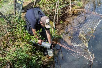Berglen: Tote Fische in Teich festgestellt