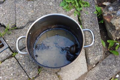 Wendlingen: Abgekochte Schnuller auf dem Herd fordern eine verletzte Person