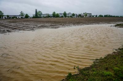 Filderstadt-Bernhausen: Auf einem Feld bildet sich ein See und bedroht Haeuser - Feuerwehr schichtet Sandsaecke auf zum Schutz 