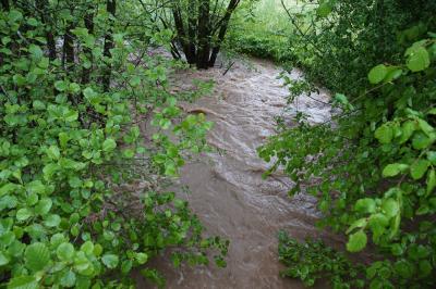 Uhingen: Starker Regen fuehrt zu Ueberflutungen und volle Keller