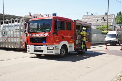 Nuertingen: Beim Unkrautvernichten Schuppen in Brand gesetzt