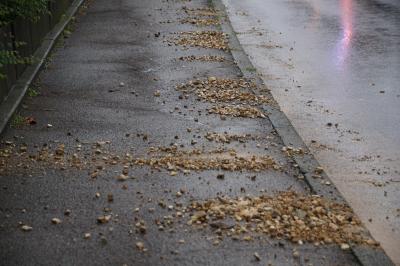 Lichtenwald: Verschmutzung der Fahrbahn durch Starkregen