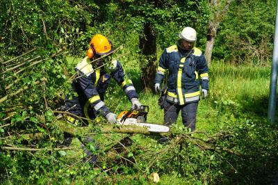Kirchheim unter Teck: Entwurzelter Baum versperrt Radweg