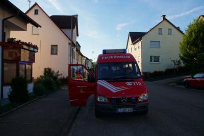 Deizisau: Brennender Toaster fordert zwei leicht Verletzte