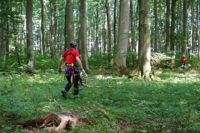Erkenbrechtsweiler: Gleitschirmflieger abgestuerzt