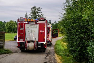 Steinenbronn: Waldbranduebung am Sonntagmorgen