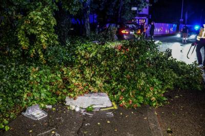 Kirchheim: Berauschter Fahrer rast durch den Ort und rammt eine Laterne und mehrere Baeume â€“ Fahrer schwerverletzt