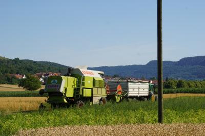 Dettingen Teck: Brand auf Feld breitet sich rasch aus - Feuerwehr im Grosseinsatz