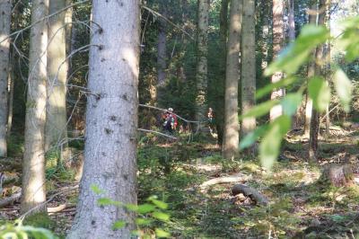 Neuenbuerg: B294 Waldbrand