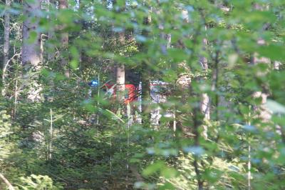 Neuenbuerg: B294 Waldbrand