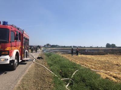 Loechgau: Flaechenbrand im Kornfeld