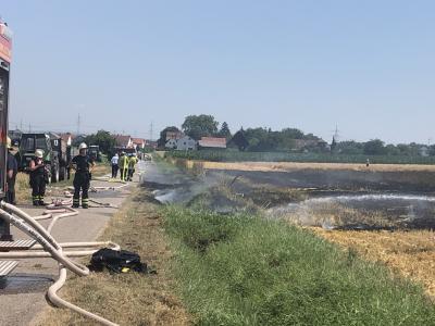 Loechgau: Flaechenbrand im Kornfeld