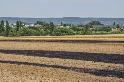 Gaeufelden-Nebringen: Getreidefeld in Brand geraten