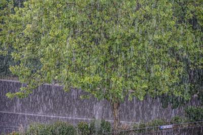 Sindelfingen: Mehrere Unwettereinsaetze fuer die Feuerwehr