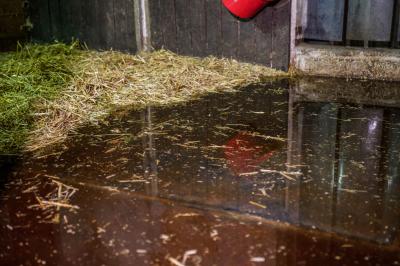 Ebersbach a. d. Fils: Gewitterzelle laesst Keller, Garagen und Strassen vol laufen - Pferdehof unter Wasser - Feuerwehr im Grosseinsatz