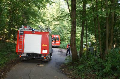 Aichtal-Aich PKW gegen Baum