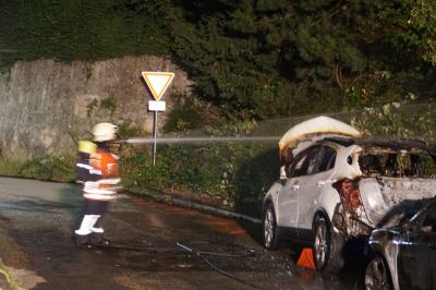 Neuenbuerg: mehrere Pkw und ein Baum stehen in Vollbrand und fordert die Feuerwehr