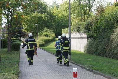 Sindelfingen-Maichingen: Vergessenes Essen auf dem Herd fordert die Feuerwehr 