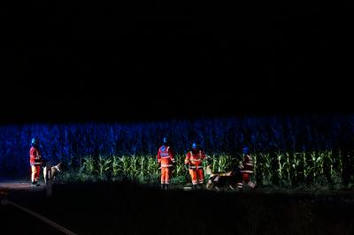 Donzdorf: Rettungshundeeinsatz auf dem Nesselberg - Suche nach betrunkenen erfolglos