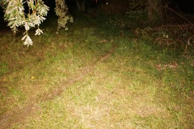 Muehlacker: Pkw ueberschlaegt sich auf der B10 - mehrere Verletzte darunter auch schwer Verletzter