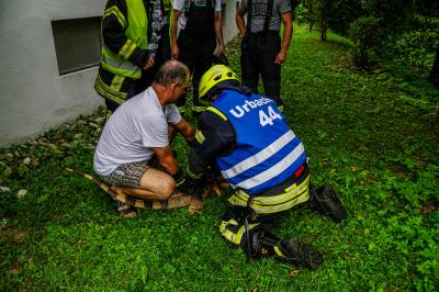 Urbach: Leguan Freddy auf Entdeckungstour â€“ Feuerwehr holt ihn vom Baum