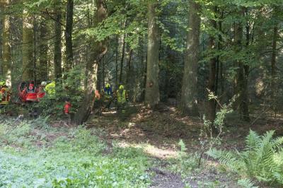 Welzheim: Pkw ueberschlaegt sich