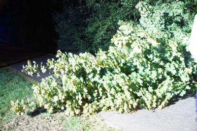 Esslingen: Person vermutlich in Neckar gestuerzt