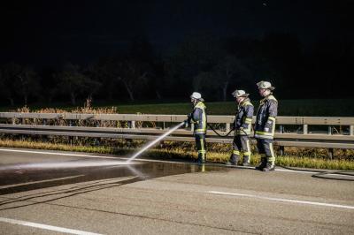 Kirchheim/ A8: Wildschweinrotte geraet auf die Autobahn