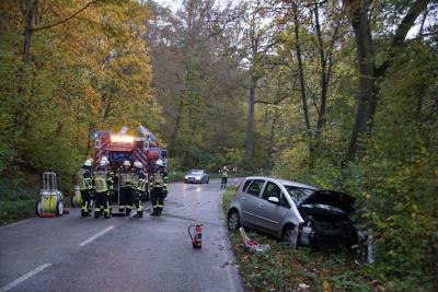 Grosssachsenheim Hohenhaslach: PKW kracht gegen Baum