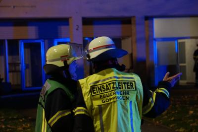 Goeppingen: Brand im 7ten Stock eines Hochhauses in Holzheim - 2 Katzen sterben in Brandwohnung