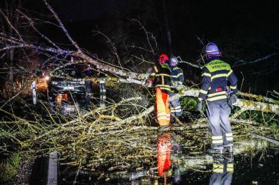 Weinstadt-Baach: Umgestuerzter Baum nach Sturm blockiert die Fahrbahn