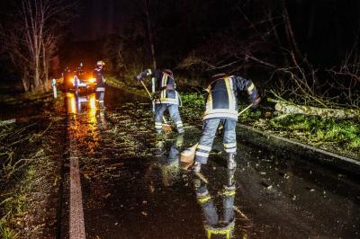 Weinstadt-Baach: Umgestuerzter Baum nach Sturm blockiert die Fahrbahn