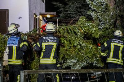 Stuttgart: Baum landet nach Sturm auf Pkw