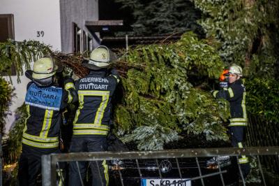 Stuttgart: Baum landet nach Sturm auf Pkw