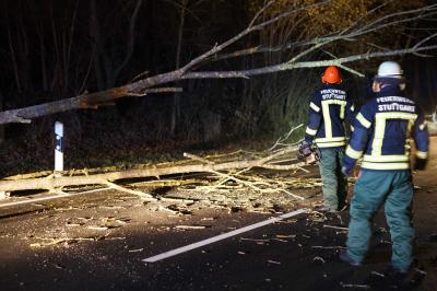 Stuttgart: Baum faellt auf Auto 