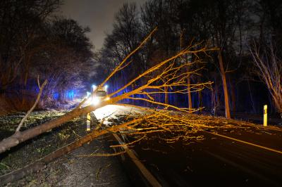 Stuttgart: Baum faellt auf Auto 
