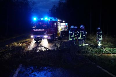 Plochingen: Sturm laesst Baum auf Landstrasse fallen - Berufsverkehr und Busse blockiert